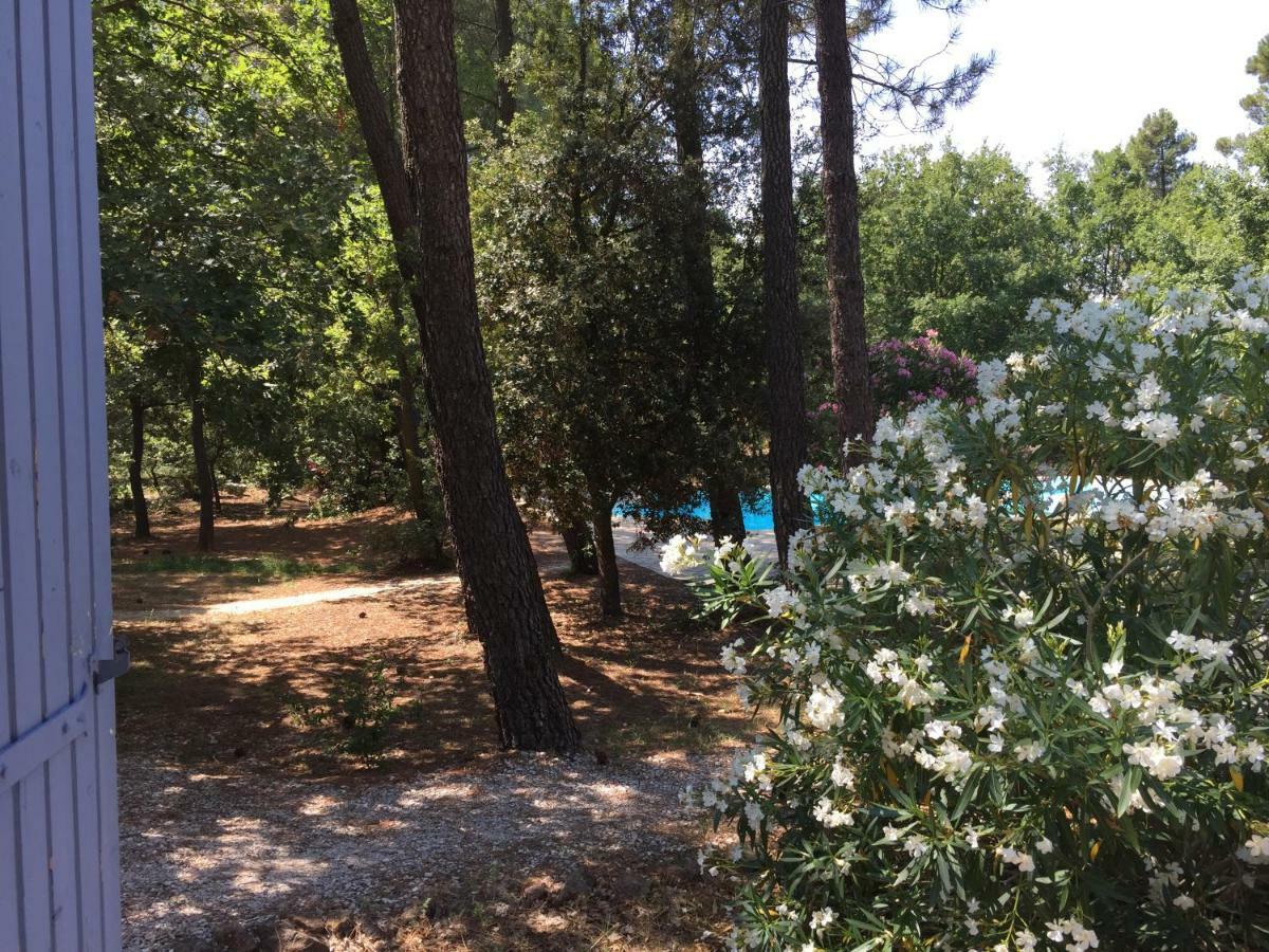 Bed & Breakfast Le Clos Des Cigales 4*